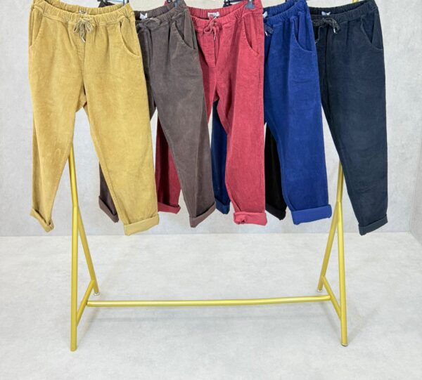 Pantalon velours (bis) – Image 6