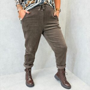 Pantalon velours (bis)