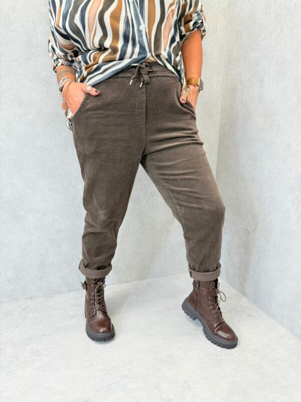 Pantalon velours (bis)