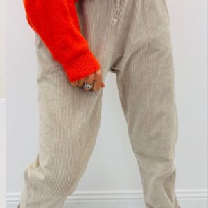Pantalon velours