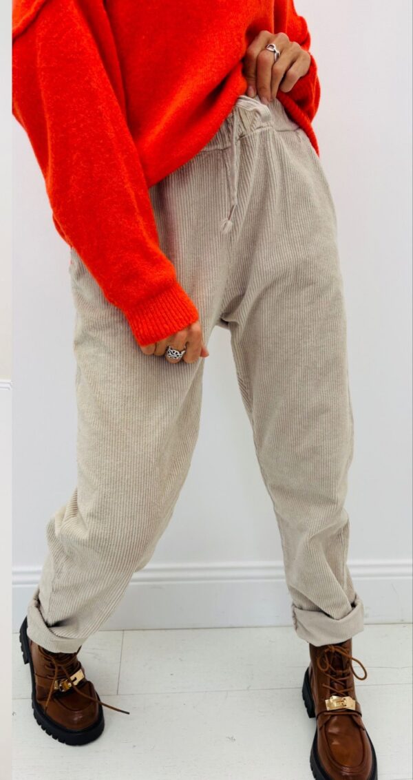 Pantalon velours